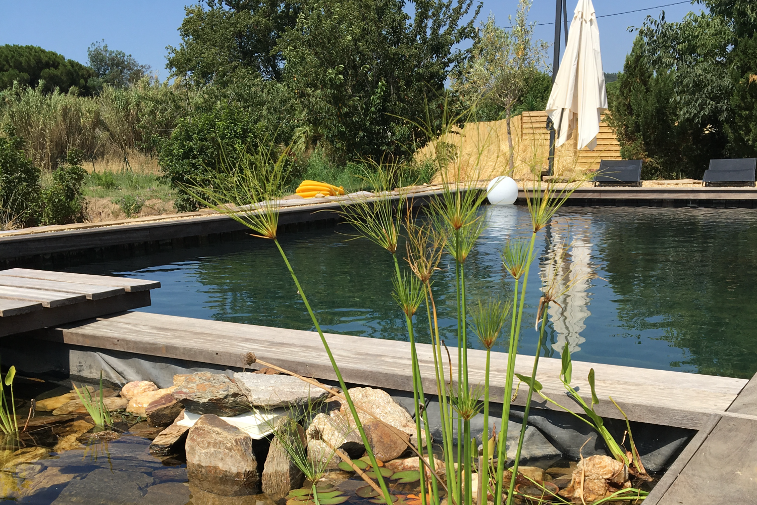 piscine bois à bormes les mimosas